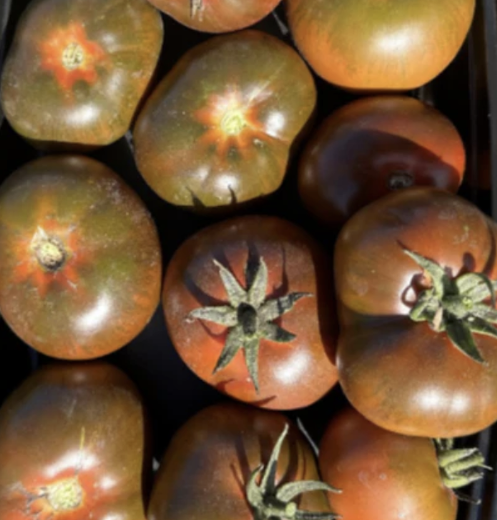Substitutes — Chicago Tomato Man